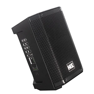 10'' Rechargeable battery speaker
